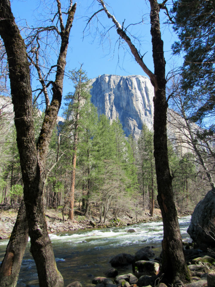 Yosmite National Park